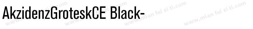 AkzidenzGroteskCE Black字体转换